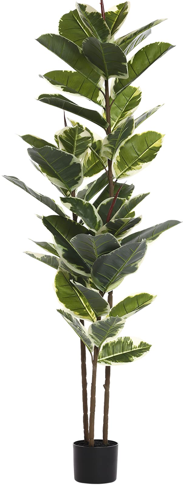 FLOWORLD Artificial Rubber Tree Plant 5ft
