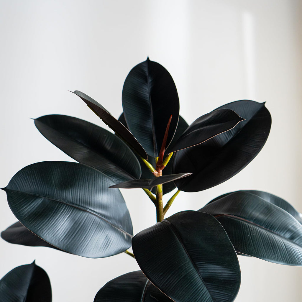 Bailikang 5.2ft Artificial Rubber Tree Faux Plant