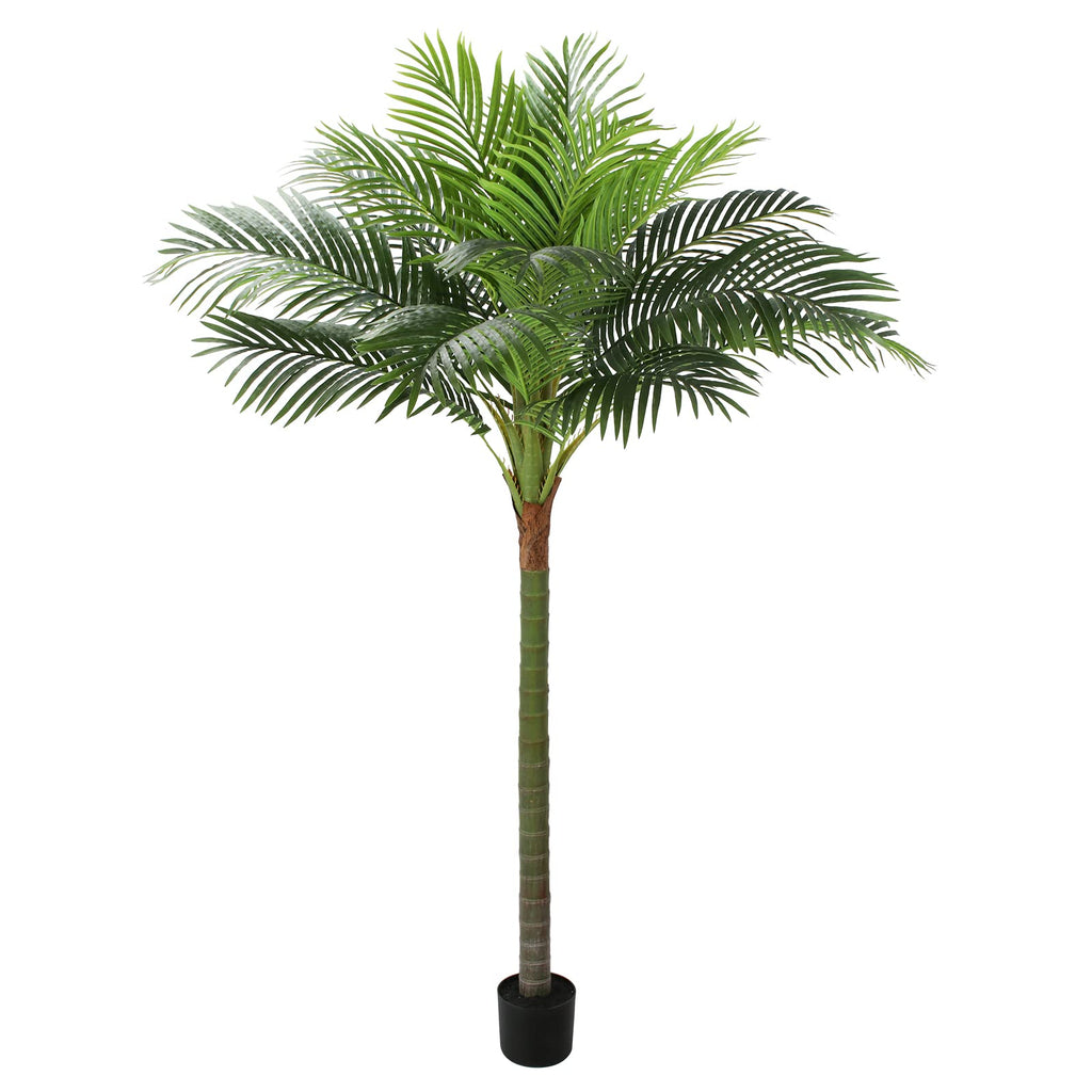 FLOWORLD Palm Tree Artificial Tropical Plant 6FT
