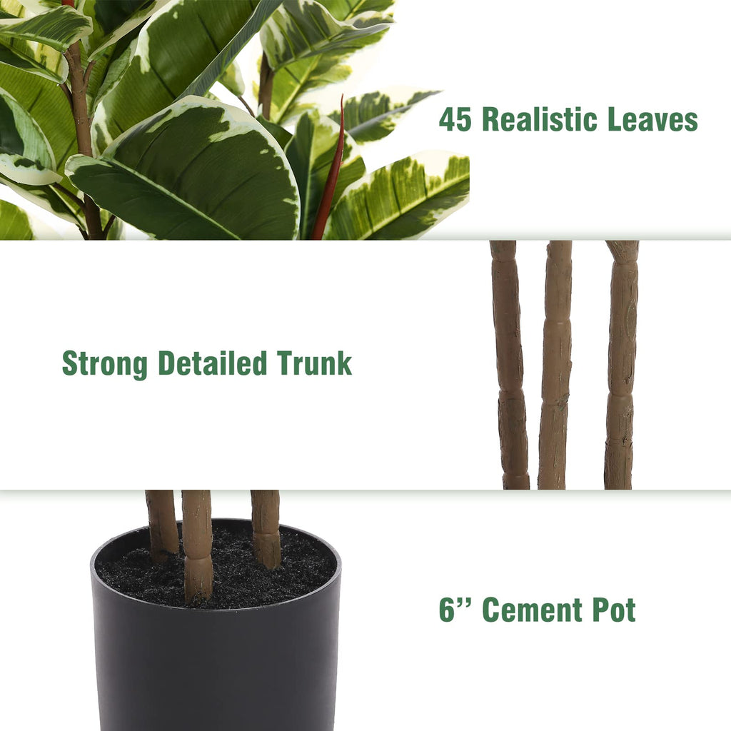 FLOWORLD Artificial Rubber Tree Plant 5ft