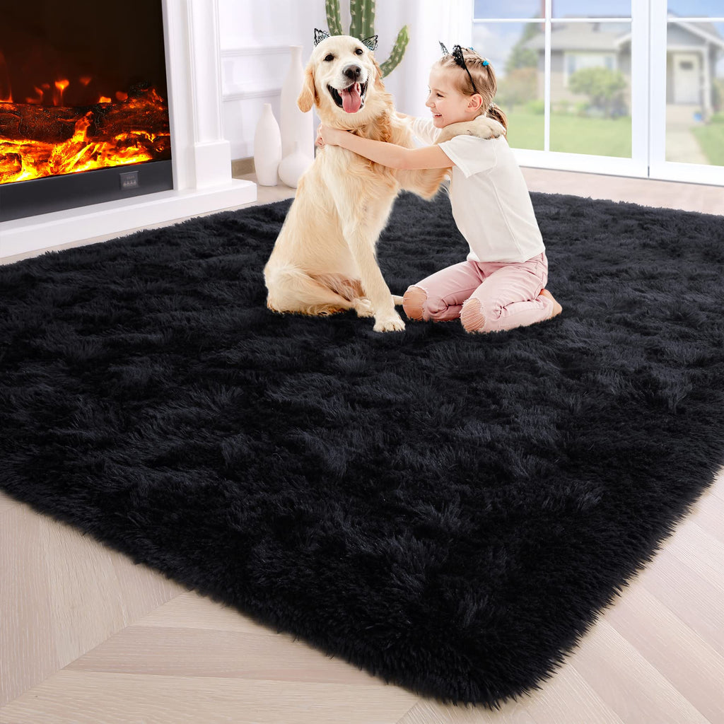 Noahas Fluffy Black 4x6 Rug