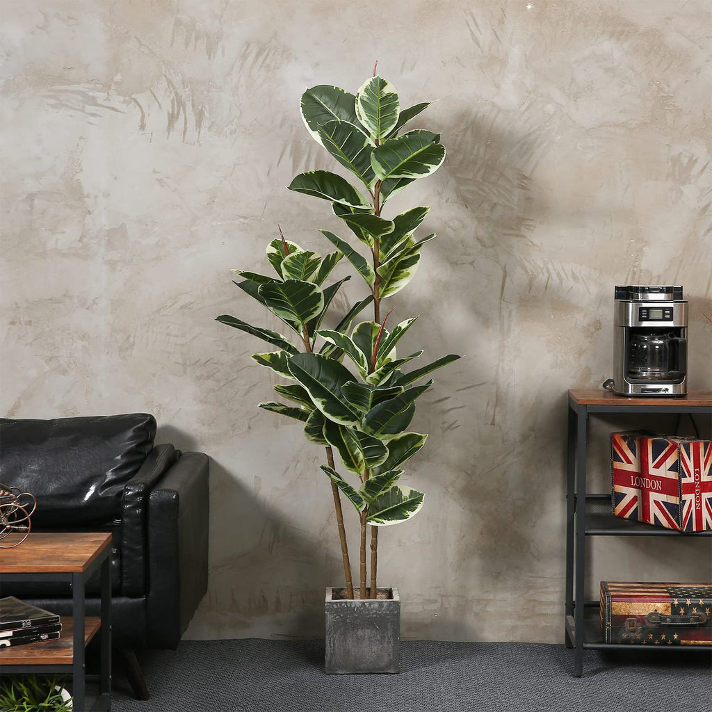 FLOWORLD Artificial Rubber Tree Plant 5ft
